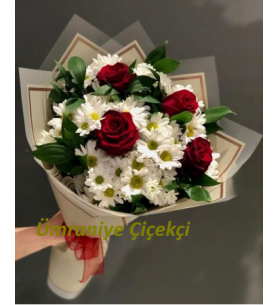 Papatya ve Kırmızı Güller